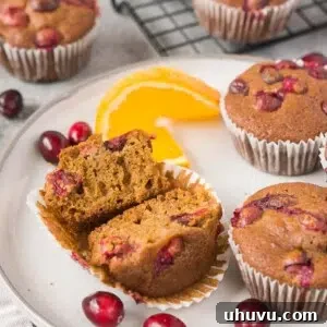 Orange Cranberry Muffins