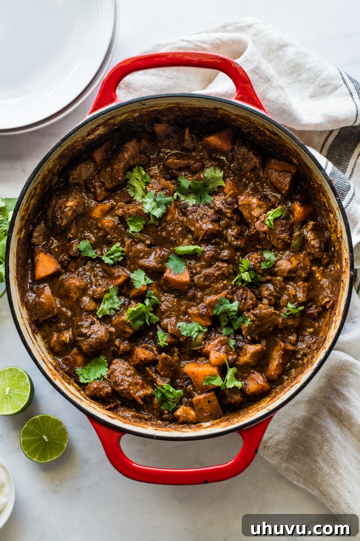Sweet and Smoky Chipotle Pork Chili 6 A large Dutch oven filled with rich, garnished pork chili, ready to be served.
