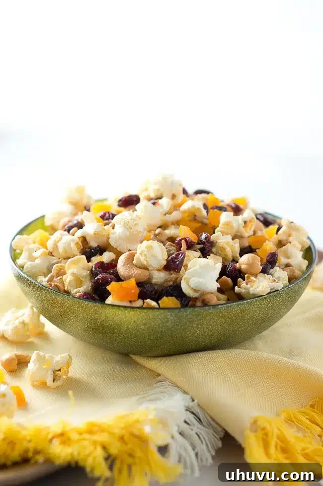 Adventure Popcorn Blend 6 Healthy Popcorn Trail Mix