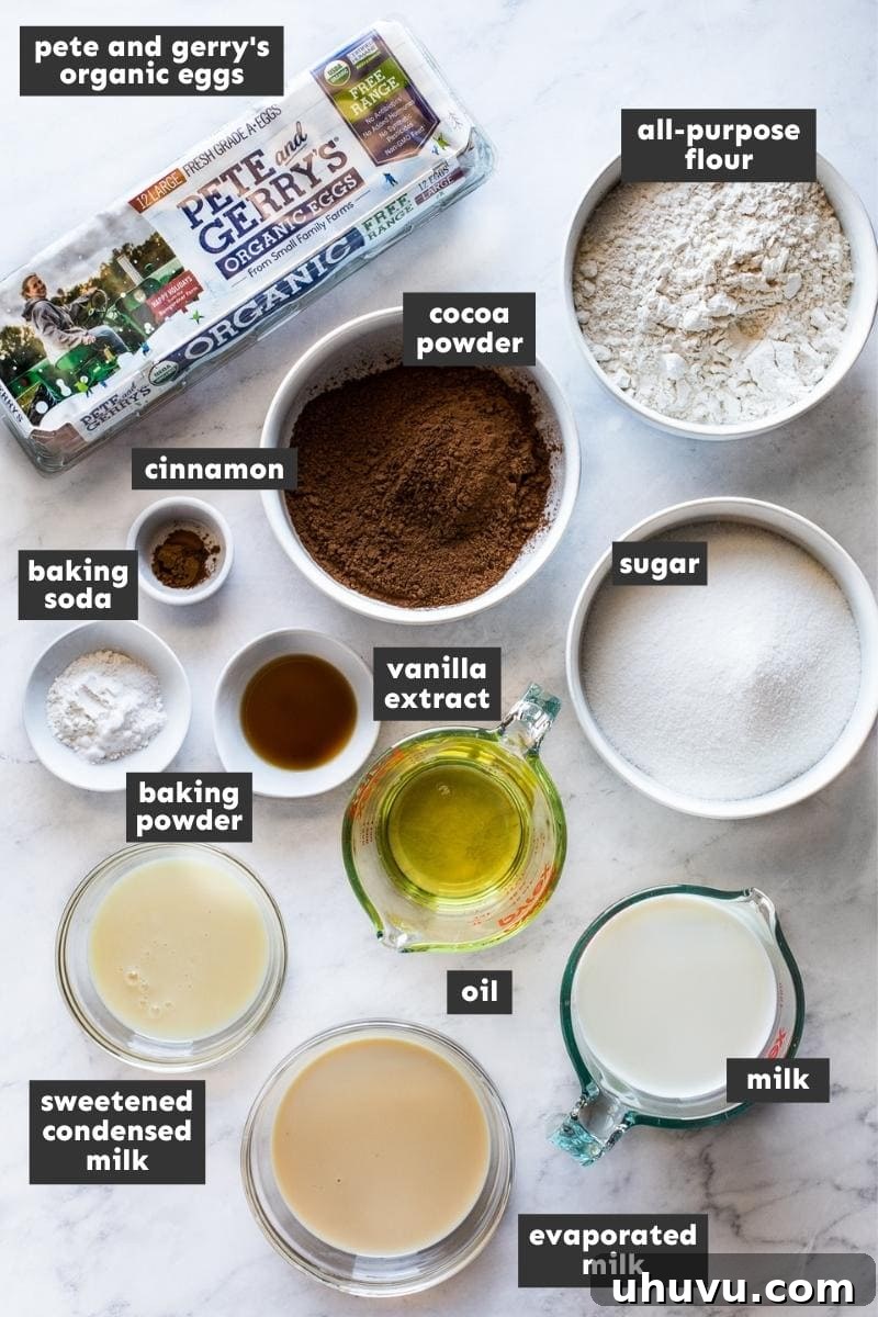 A collection of ingredients laid out for baking chocolate tres leches cake.