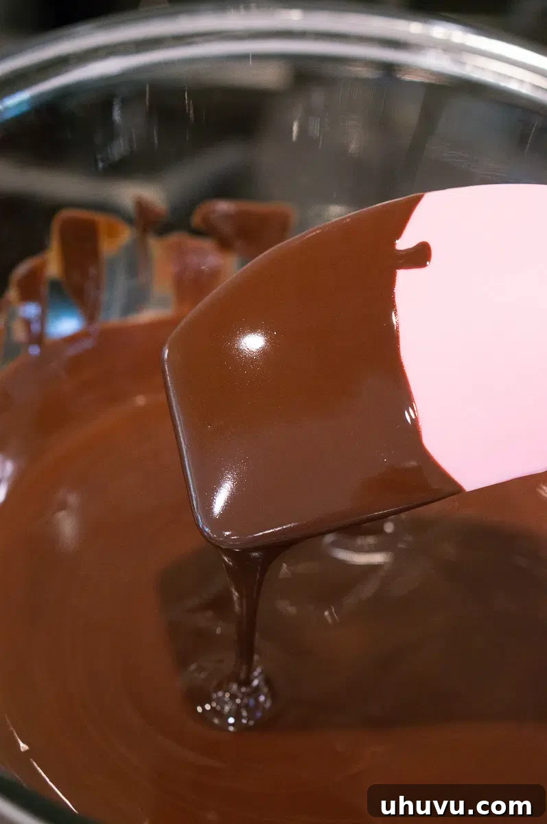 Smooth, glossy melted chocolate in a mixing bowl, ready for combining with other ingredients