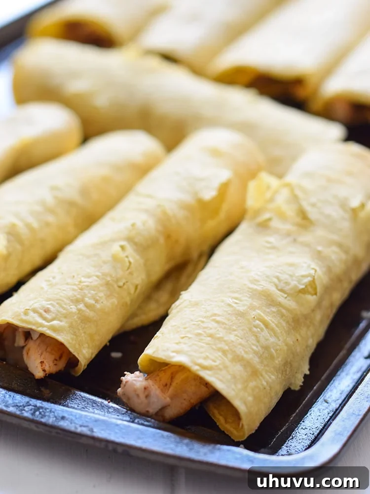 Rolled taquitos arranged on a baking sheet, lightly sprayed with olive oil before baking.