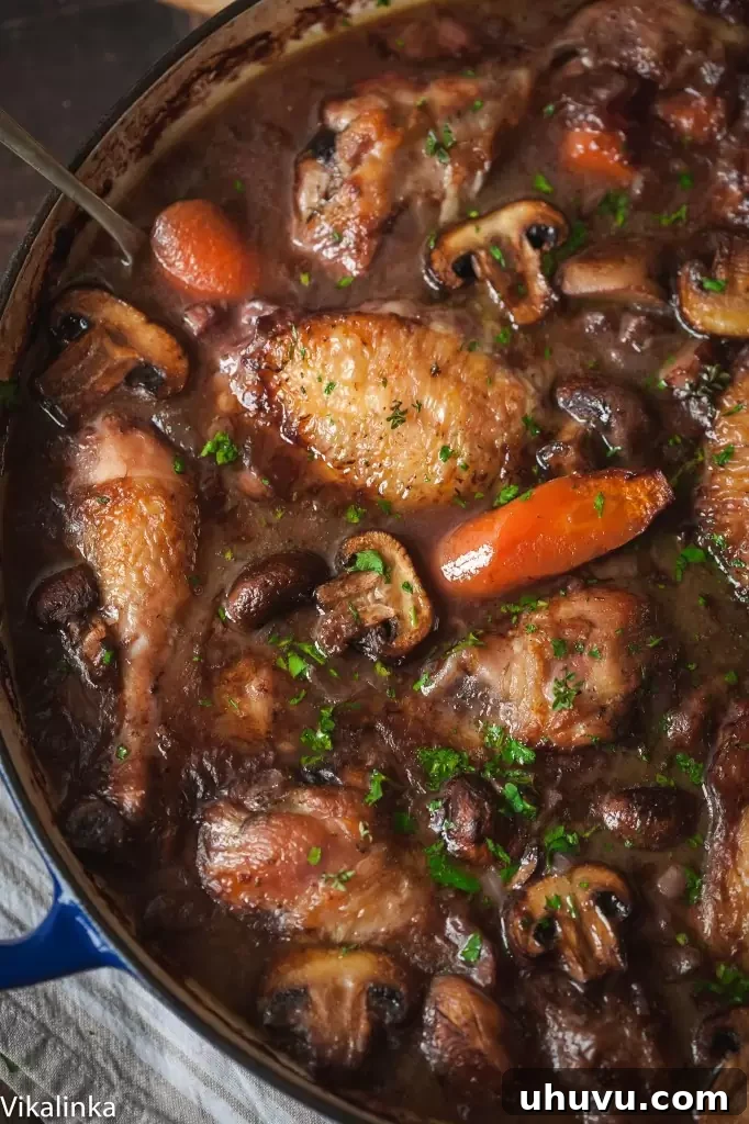 15 Cozy Comfort Meals Made Simple 3 Coq au Vin - A classic French chicken stew with red wine, bacon, and mushrooms.
