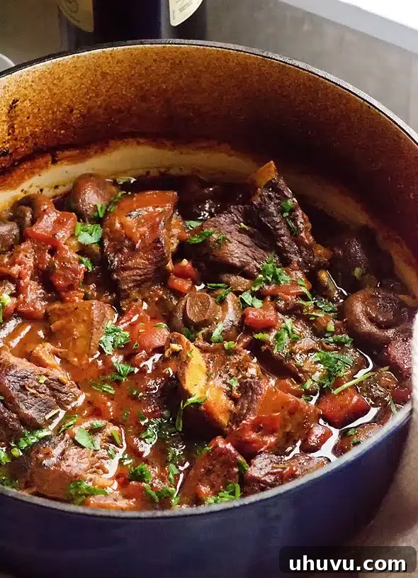15 Cozy Comfort Meals Made Simple 6 Easy Braised Short Ribs - Fork-tender beef in a rich, slow-cooked gravy, perfect for chilly evenings.