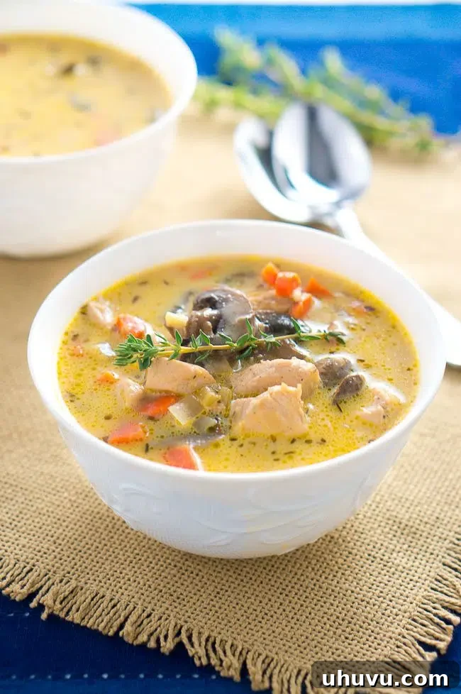 15 Cozy Comfort Meals Made Simple 7 Creamy Chicken and Mushroom Soup - perfect bowl of comfort on a cold day and done in under 30 minutes. Perfect for the chilly weather!