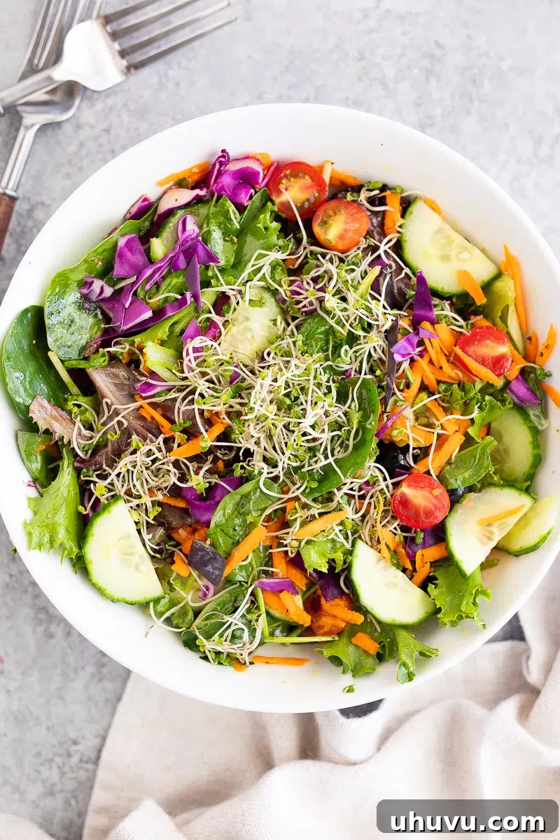 Large vibrant salad generously topped with fresh broccoli sprouts
