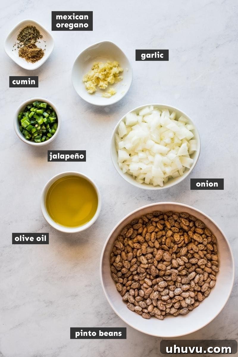 Quick and Creamy Instant Pot Refried Beans 3 Instant Pot Refried Beans Ingredients