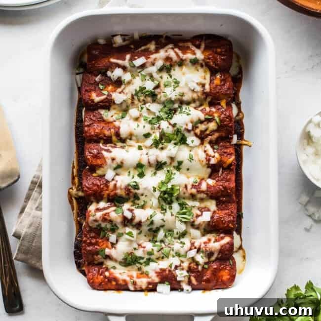 Gooey Cheese Enchiladas 8 Cheese enchiladas in a baking dish.