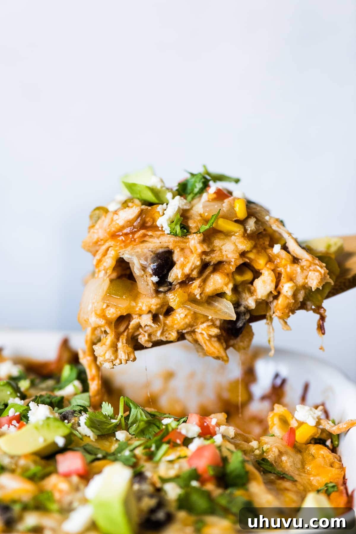 Ultimate Cheesy Chicken Enchilada Bake 4 A spoonful of chicken enchilada casserole about to be served onto a plate.