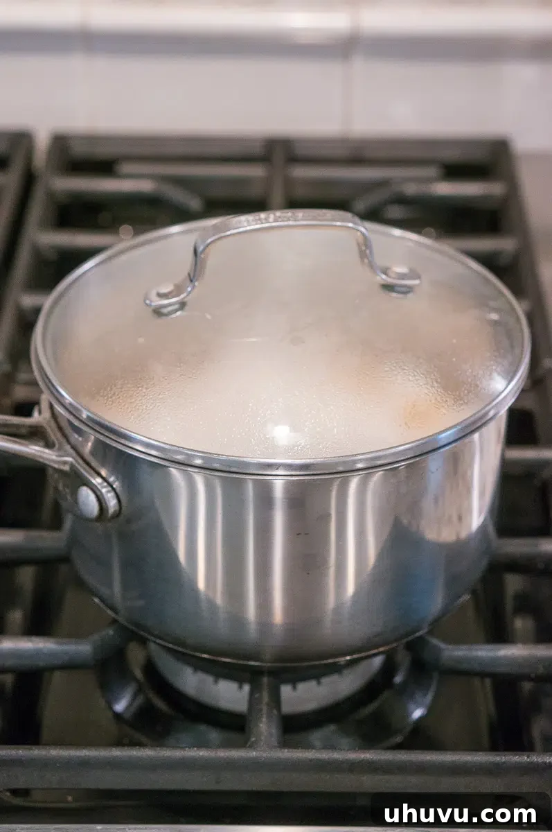 cooking old fashioned oatmeal on the stove in a pot