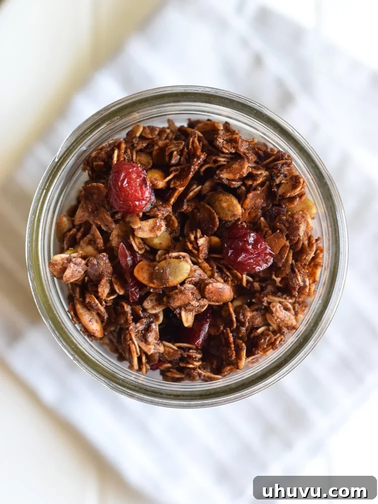 Aztec Chocolate Pepita Granola 2 A bowl of delicious homemade Mexican Chocolate Pumpkin Seed Granola with milk, crafted from rolled oats, Abuelita Mexican chocolate, pumpkin seeds, and dried cranberries. Perfect for a gluten-free and vegetarian breakfast or snack.