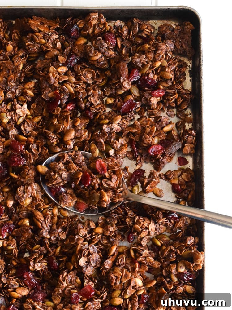 Aztec Chocolate Pepita Granola 6 A generous serving of Mexican Chocolate Pumpkin Seed Granola, brimming with rolled oats, dark chocolate, pumpkin seeds, and dried cranberries, ready to be enjoyed.