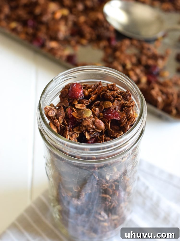 Aztec Chocolate Pepita Granola 7 Homemade Mexican Chocolate Pumpkin Seed Granola served in a rustic bowl, showcasing its golden brown clusters and vibrant ingredients. Perfect as a wholesome and flavorful breakfast or snack.