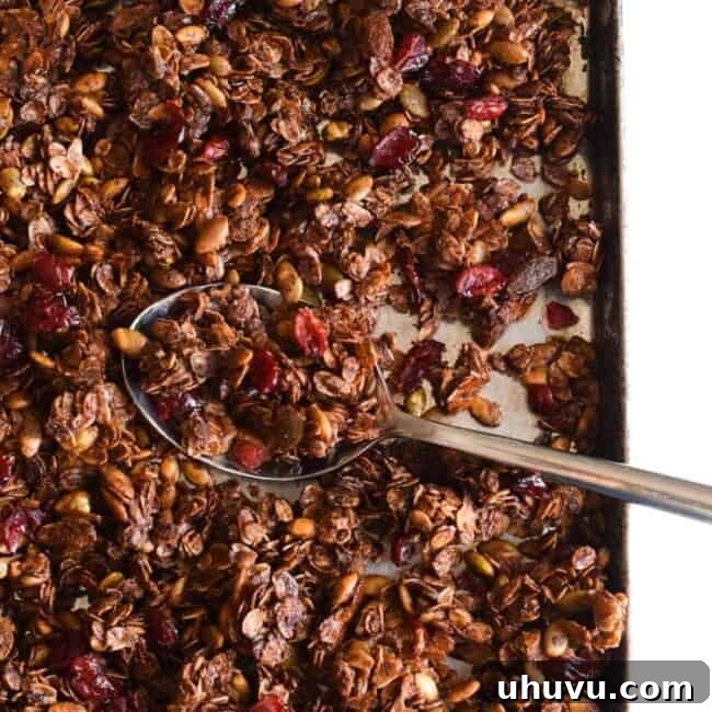 Aztec Chocolate Pepita Granola 8 A vibrant image of Mexican Chocolate Pumpkin Seed Granola, ready to eat, made with rolled oats, Abuelita Mexican chocolate, pumpkin seeds and dried cranberries. This recipe is gluten-free and vegetarian.