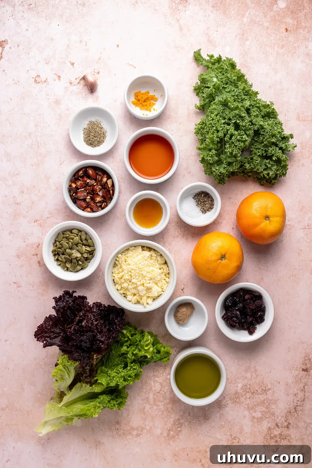 Arrangement of fresh ingredients for citrus salad: mixed greens, clementines, dried cranberries, feta cheese, candied almonds, pumpkin seeds, and red wine vinaigrette components