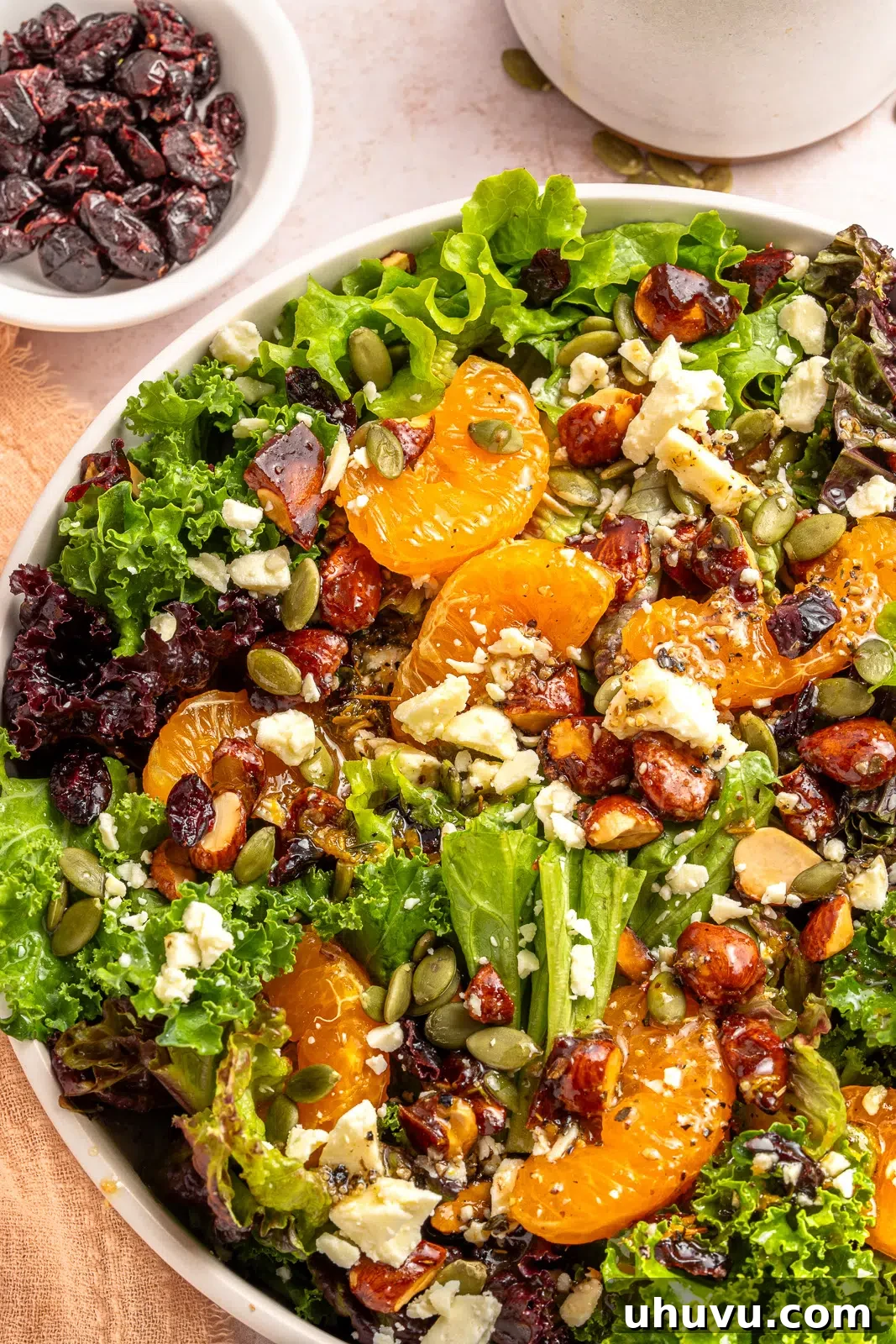 A beautifully presented citrus salad in a pristine white bowl, garnished with fresh greens and vivid citrus segments