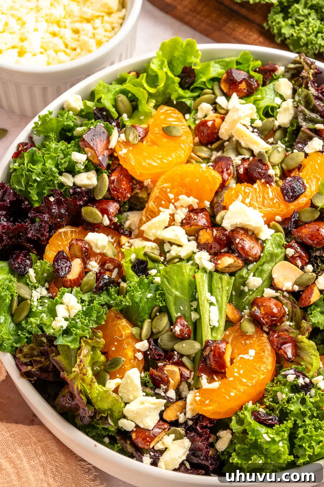 Beautifully composed winter citrus salad with red wine vinaigrette in a white serving bowl, ready for a festive meal