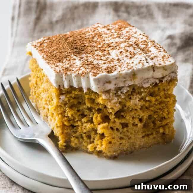 A slice of pumpkin tres leches cake topped with whipped cream and garnished with a dusting of pumpkin spice seasoning.