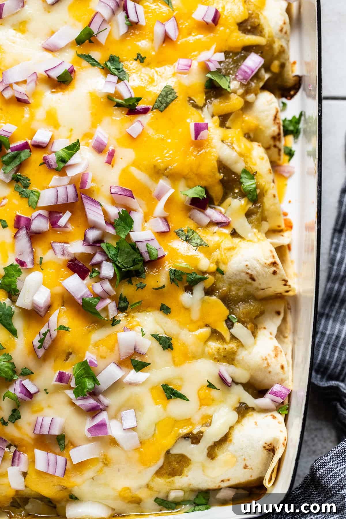 Creamy Spinach Enchiladas 7 A baking dish of freshly baked spinach enchiladas, golden and bubbly with melted cheese and salsa, garnished with fresh cilantro, ready to be served hot.
