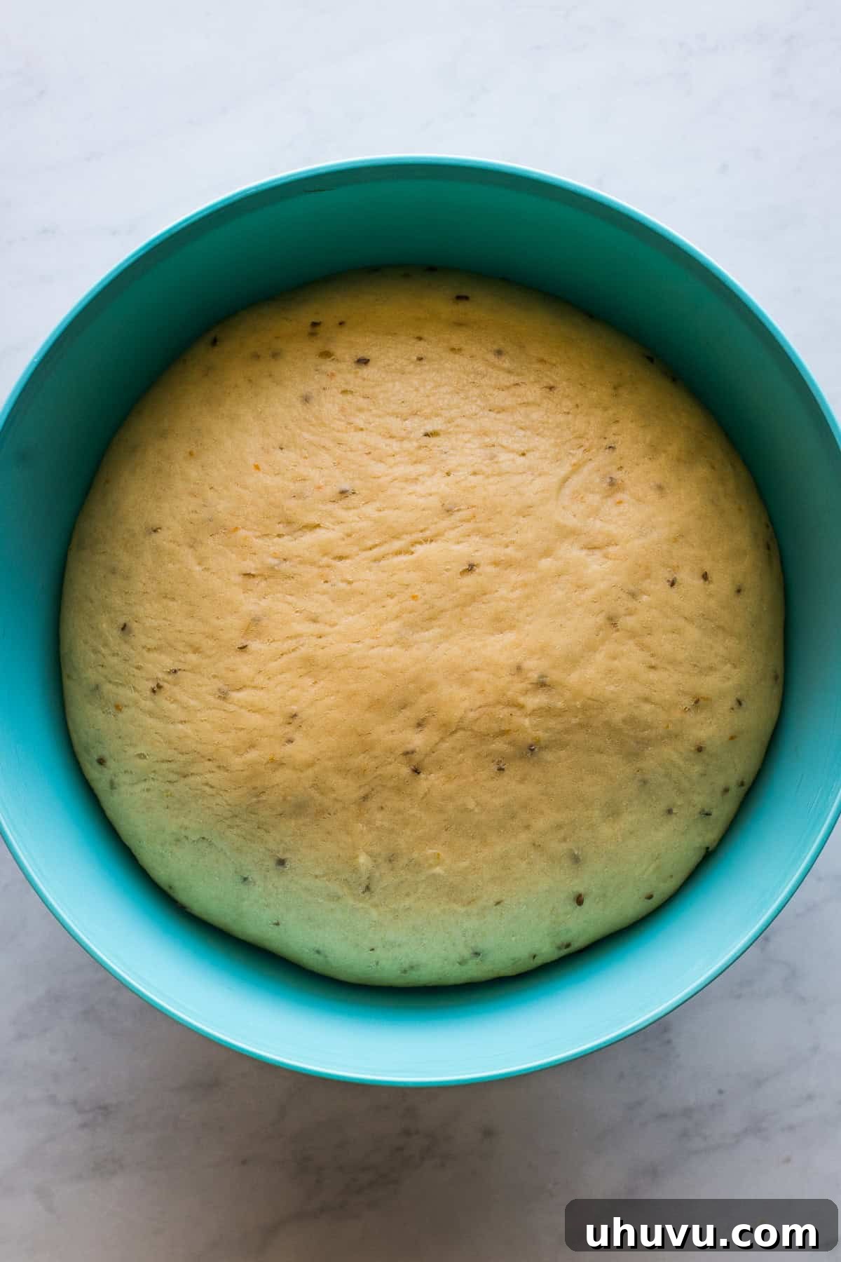 Spirits' Sweet Bread 4 Pan de muerto dough rising in a large bowl, covered with a kitchen towel.