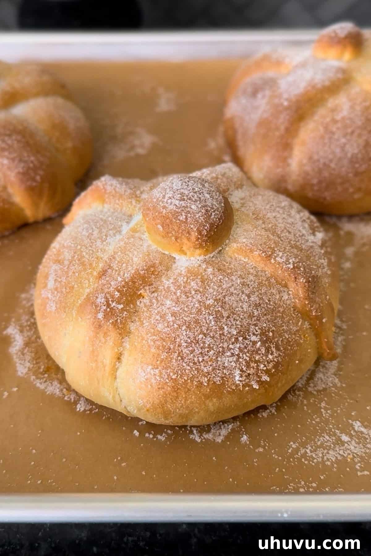 Spirits' Sweet Bread 8 A loaf of pan de muerto covered in sugar on a baking sheet, ready to be enjoyed with a cup of hot chocolate.