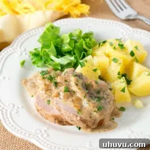 Pork Medallions with creamy mushroom Marsala sauce