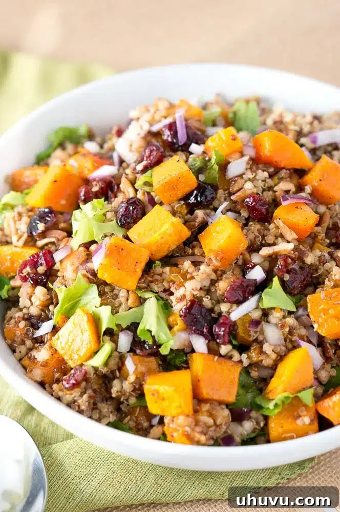 A vertical shot of the Harvest Butternut Squash Quinoa Salad, showing layers of ingredients.