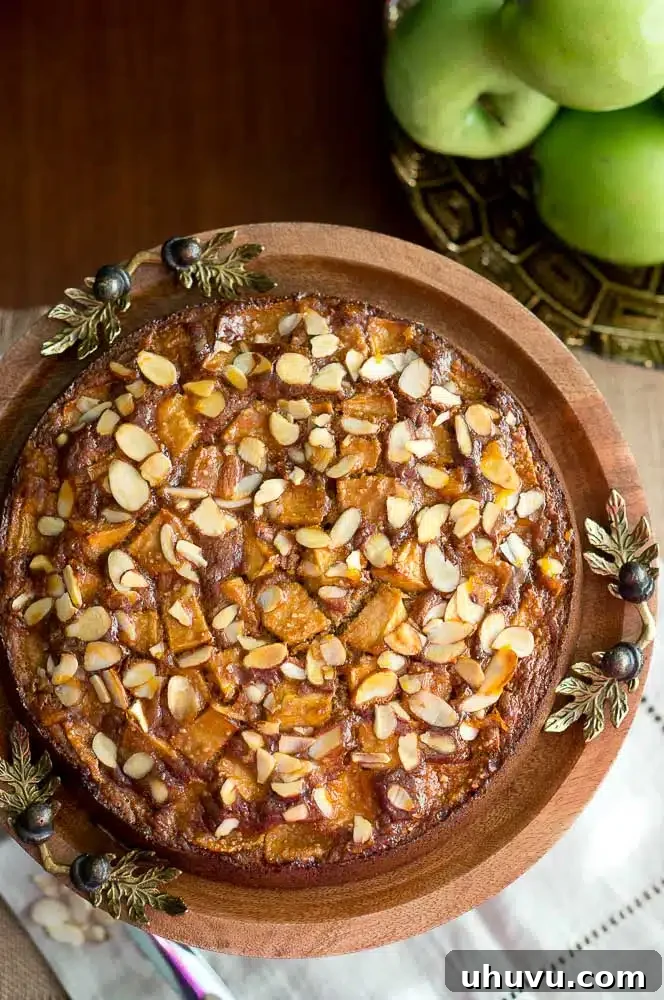 Paleo and gluten-free Apple Almond Cake, a healthy and delicious dessert option