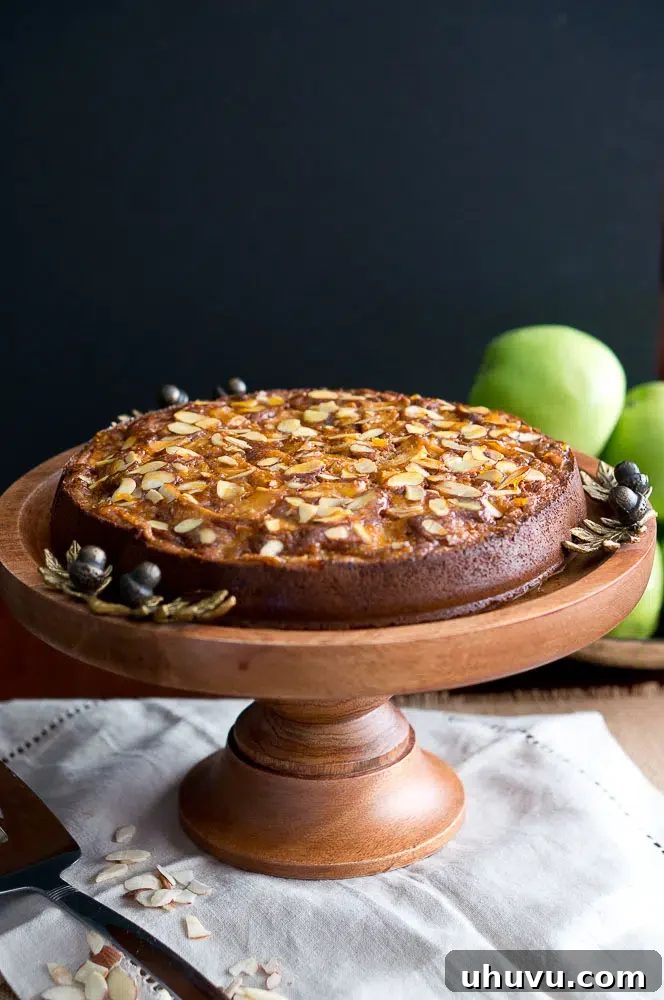 Close-up of a slice of paleo gluten-free Apple Almond Cake, showing moist texture