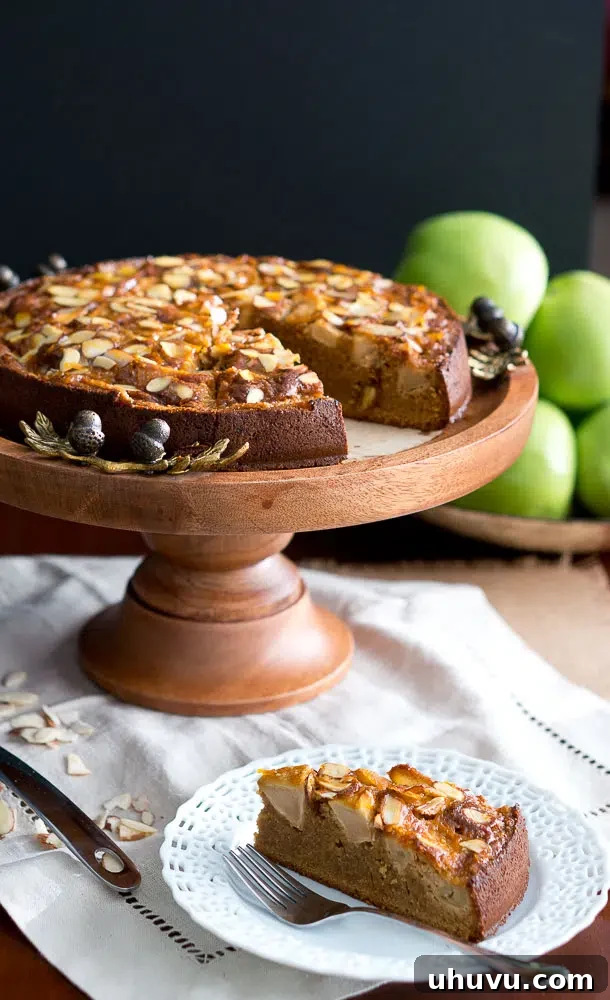 Stacked slices of paleo gluten-free Apple Almond Cake, showing the apple chunks