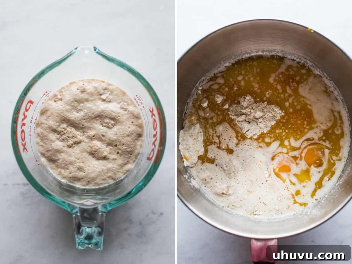 Sweet Epiphany Crown 4 Yeast mixture rising in a bowl to make the Rosca de Reyes dough.