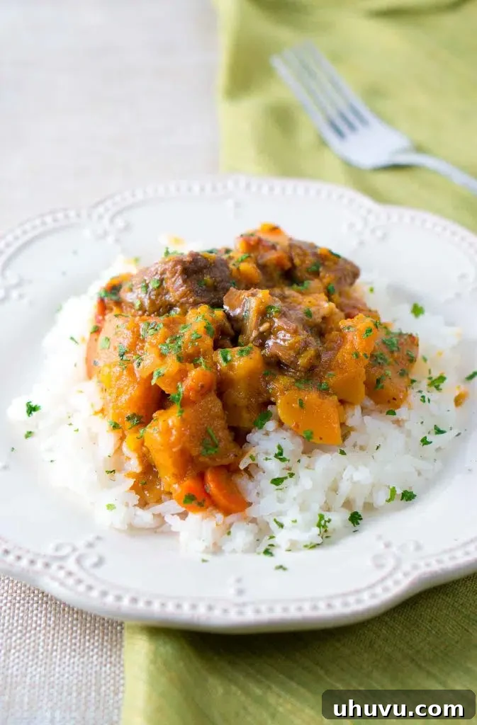 Hearty Instant Pot Beef and Butternut Squash Stew
