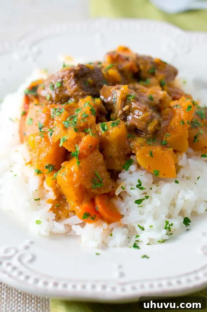 Close-up of Instant Pot Beef and Butternut Squash Stew