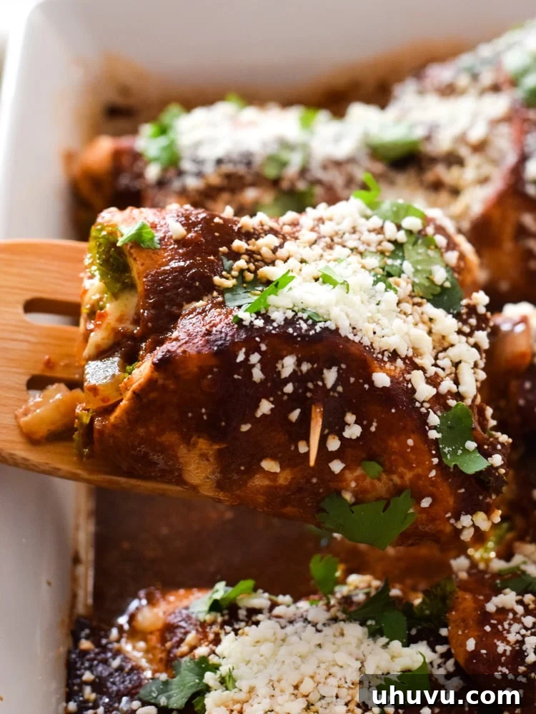 Creamy Chicken Pinwheels 6 Cooked chicken enchilada roll ups garnished with cotija cheese and cilantro