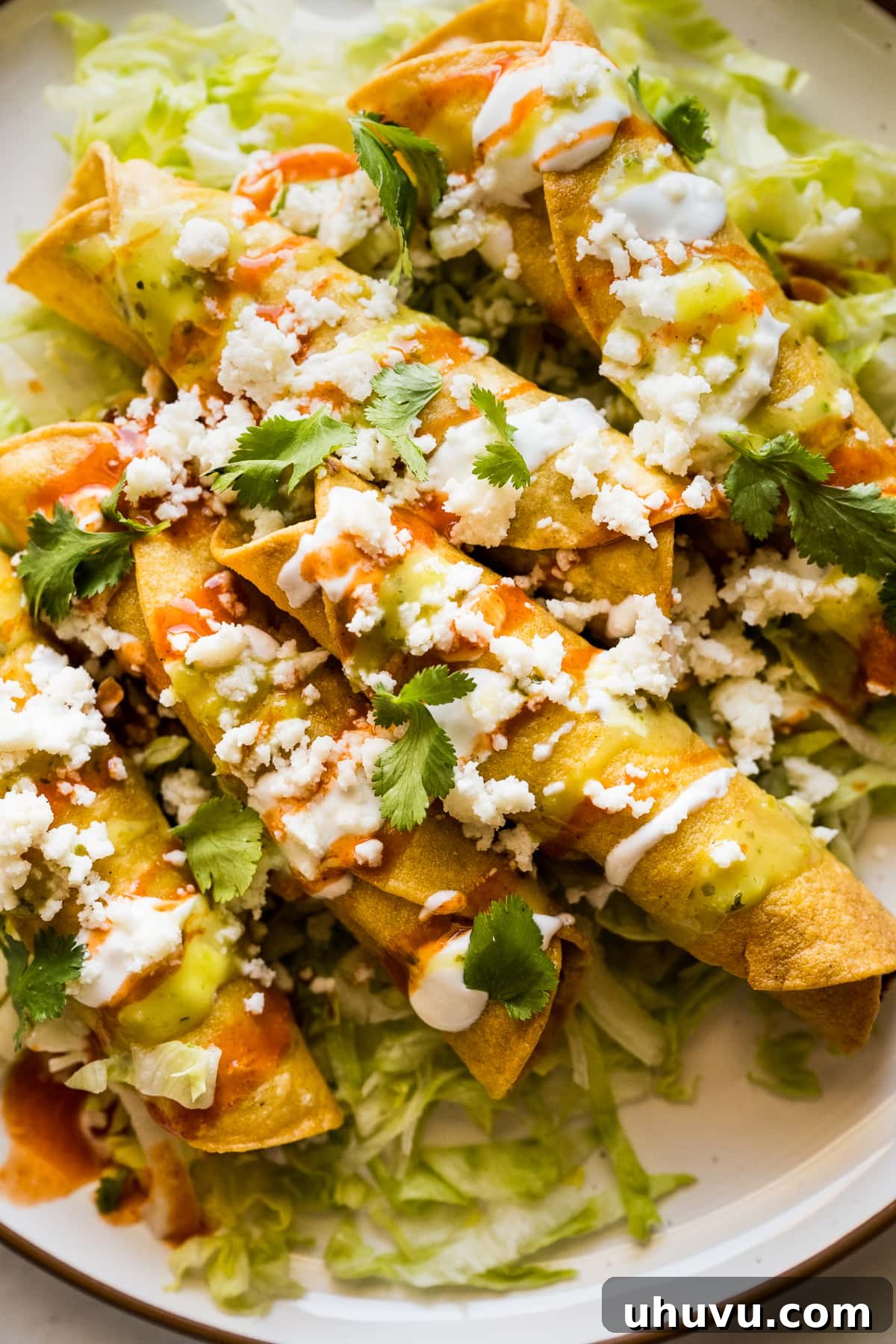 Crispy Rolled Tacos 13 Flautas topped with salsa verde, salsa roja hot sauce, cheese, Mexican crema, and cilantro.