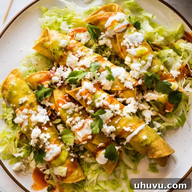 Crispy Rolled Tacos 14 Flautas on a plate topped with crema, hot sauce, salsa verde, lettuce, cilantro, and cotija cheese.
