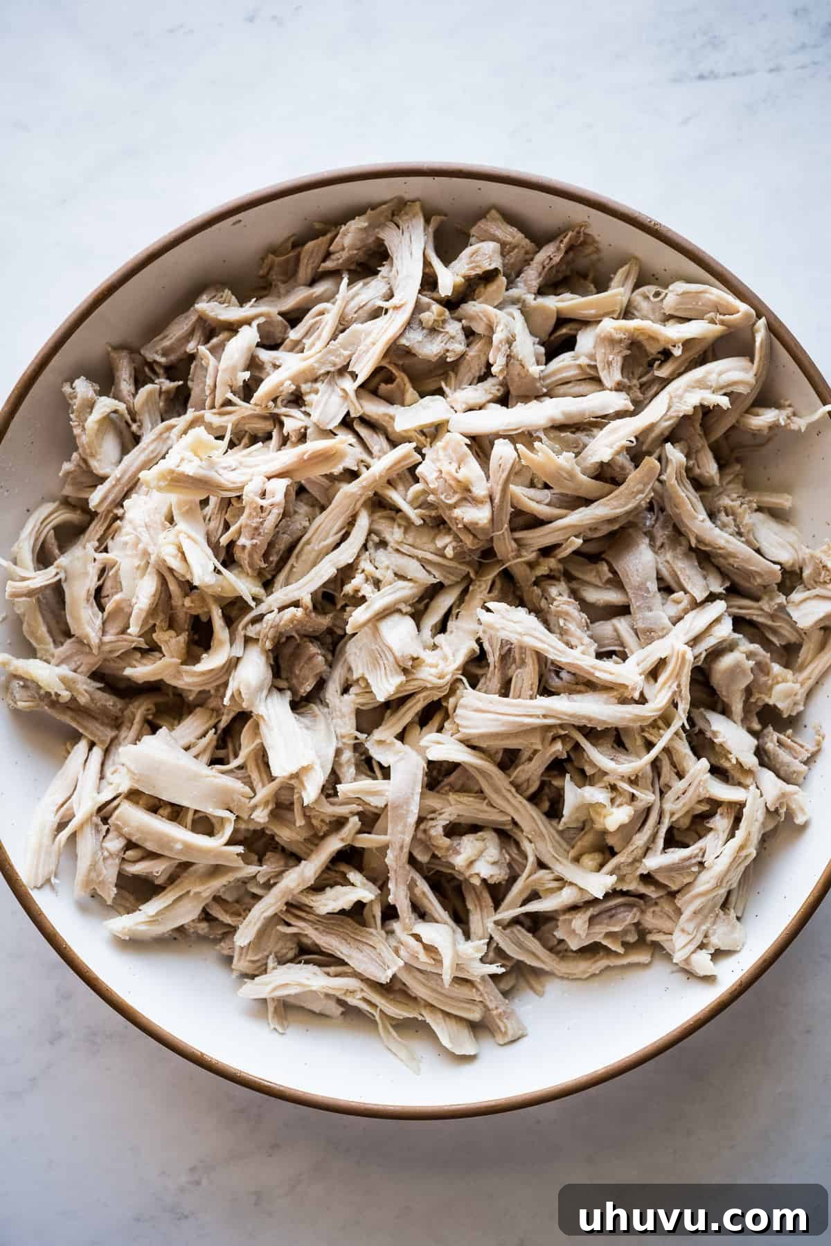 Crispy Rolled Tacos 5 Shredded chicken in a plate for chicken flautas.