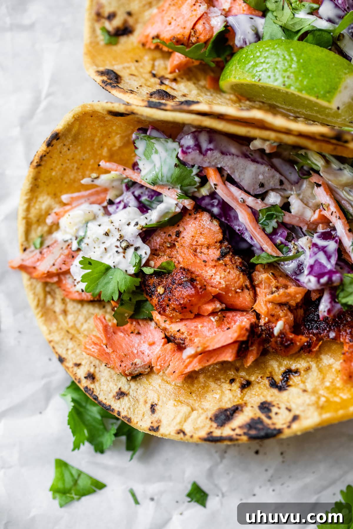 March Culinary Quest 3 Easy salmon tacos in a corn tortilla topped with fresh cilantro leaves, a vibrant and healthy meal idea.