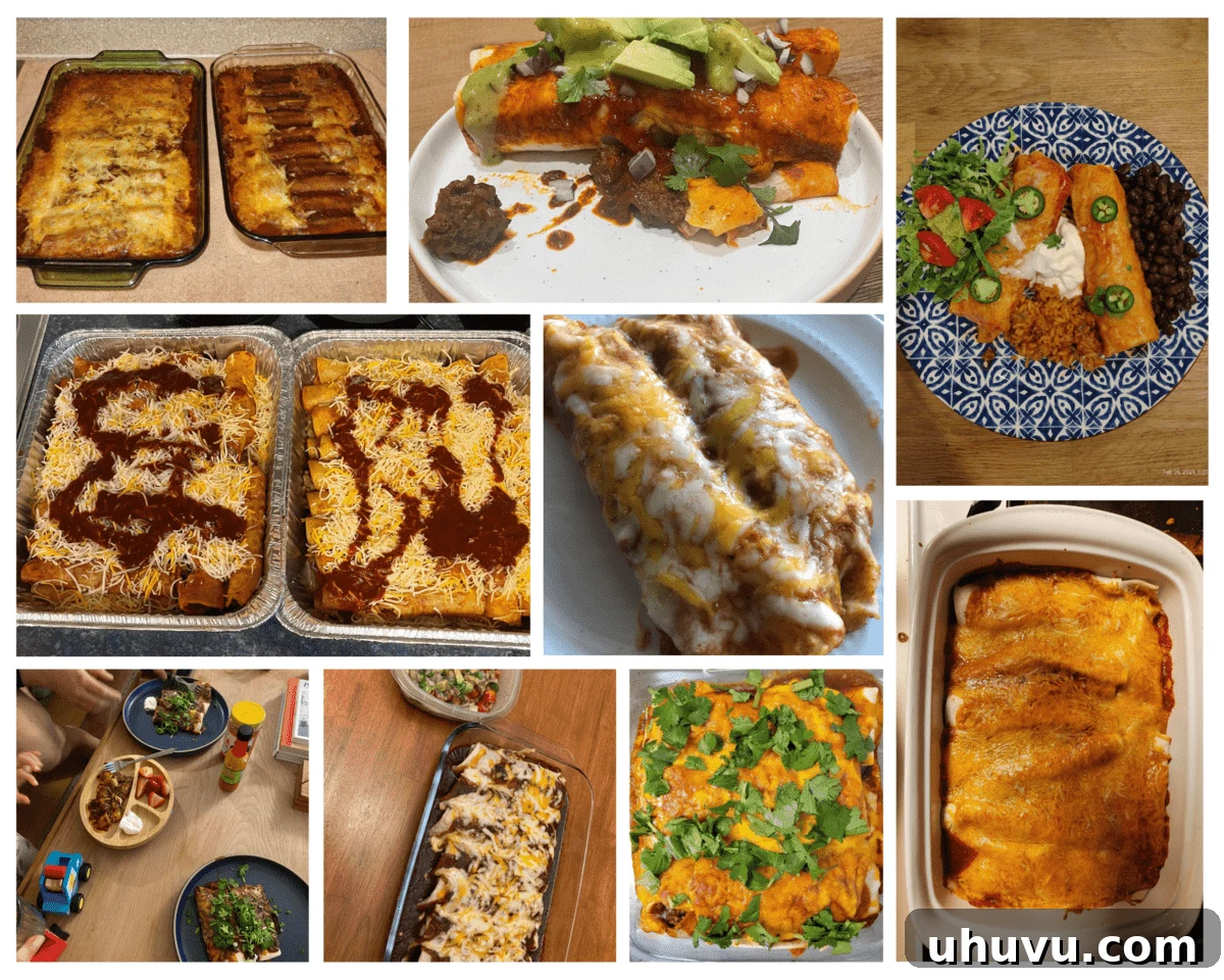 March Culinary Quest 4 A collage showcasing various delicious homemade beef enchiladas submitted by participants of the February cooking challenge.