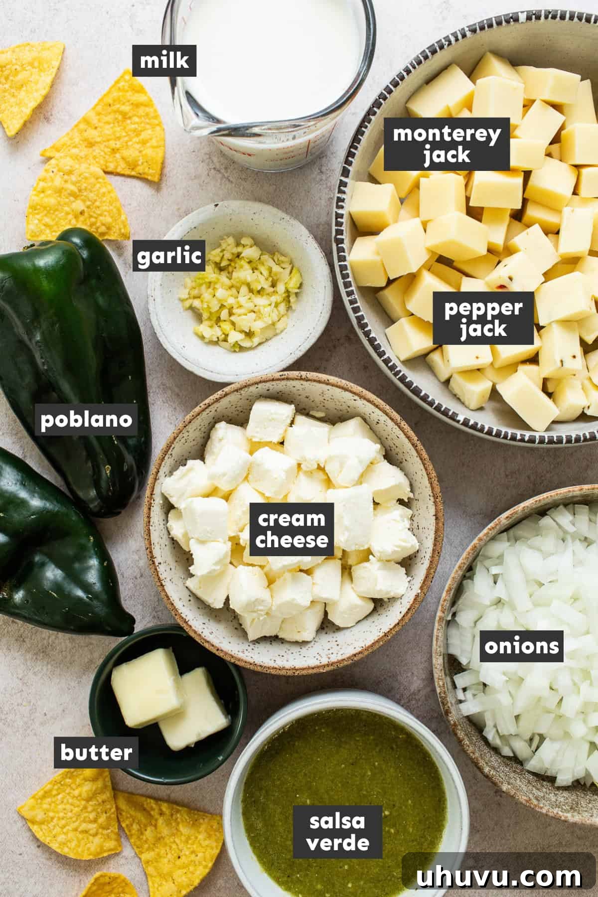 Zesty Green Chili Queso 3 Ingredients for salsa verde queso dip laid out on a table ready to be used.