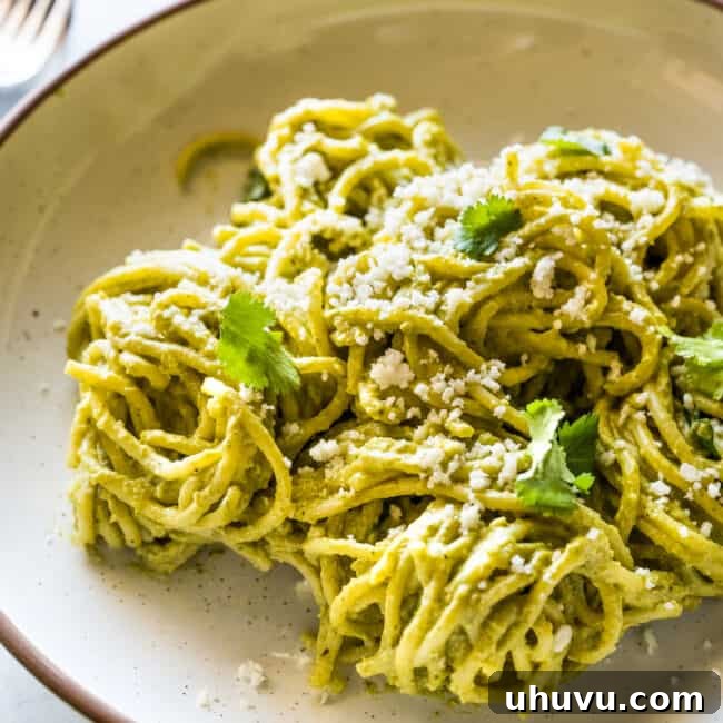 Zesty Green Spaghetti 13 Green Spaghetti (Espagueti Verde)