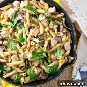Chicken Penne with Creamy Mushroom White Wine Sauce