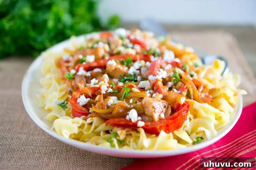 Chicken Paprikash served with egg noodles