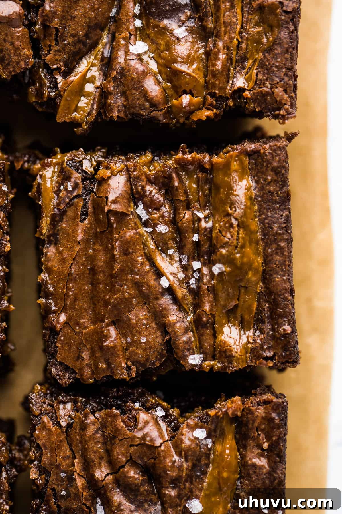 Dulce de Leche brownies cut into squares and garnished with flaky sea salt