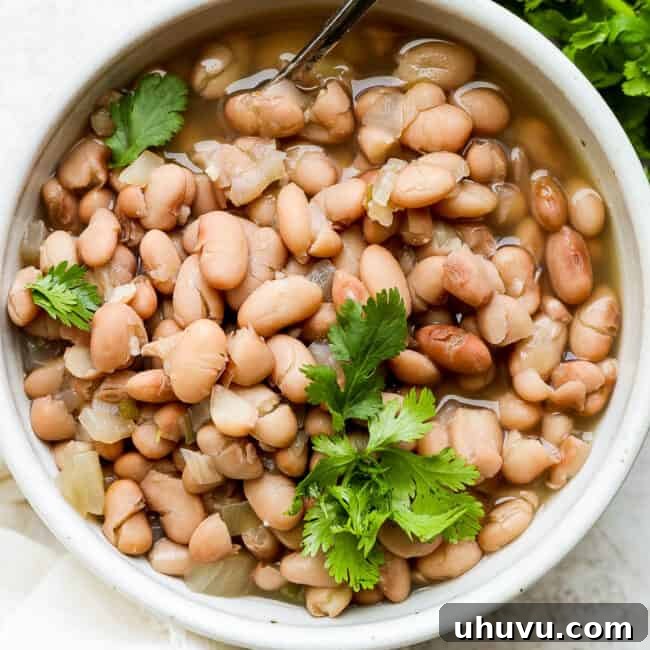 Easy Slow Cooker Pinto Beans 8 Crock pot pinto beans in a bowl.