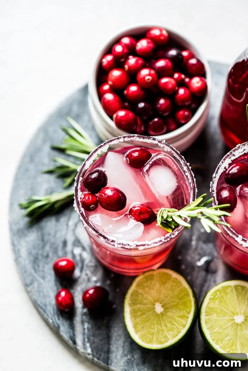 Effortless Cranberry Margarita 4 A festive Cranberry Cocktail Margarita with a shaker, ready for mixing, perfect for Christmas and New Year's celebrations.