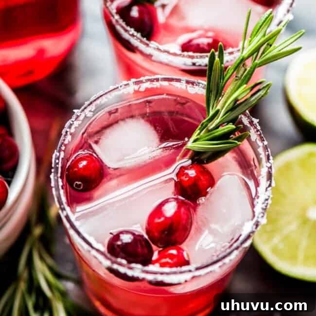 Effortless Cranberry Margarita 6 A vibrant red Cranberry Margarita with a salt rim, fresh cranberries, and rosemary sprigs.