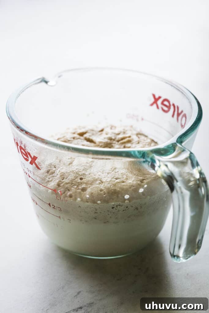 Concha Sunrise Sandwich 4 Activated yeast in a cup with warm milk, showing a foamy texture.