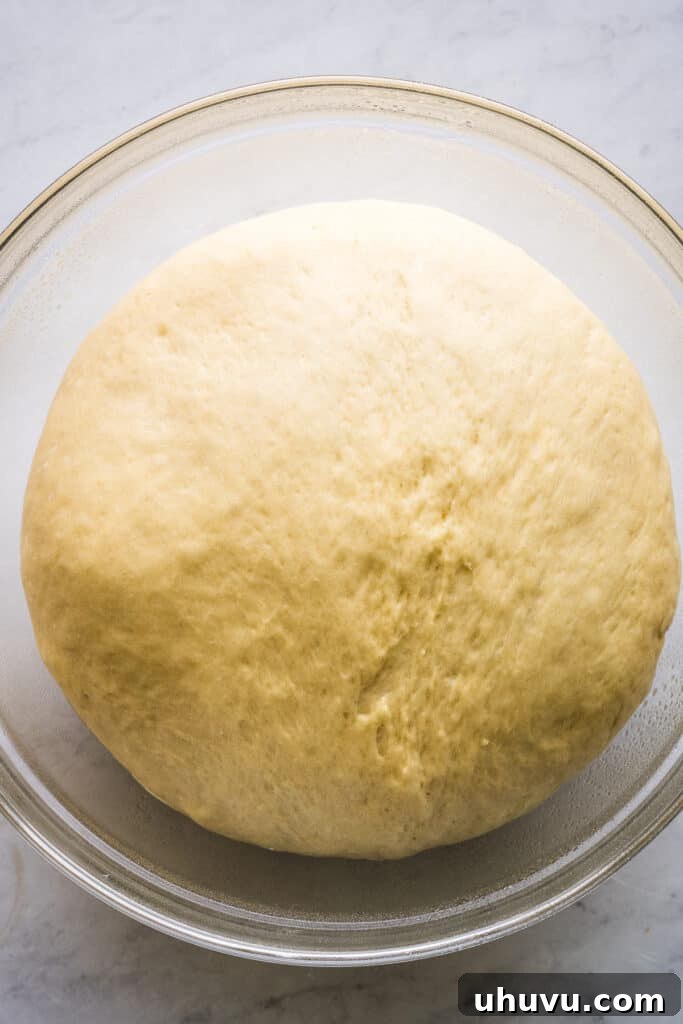 Concha Sunrise Sandwich 5 Well-risen concha dough in a bowl, ready for shaping.