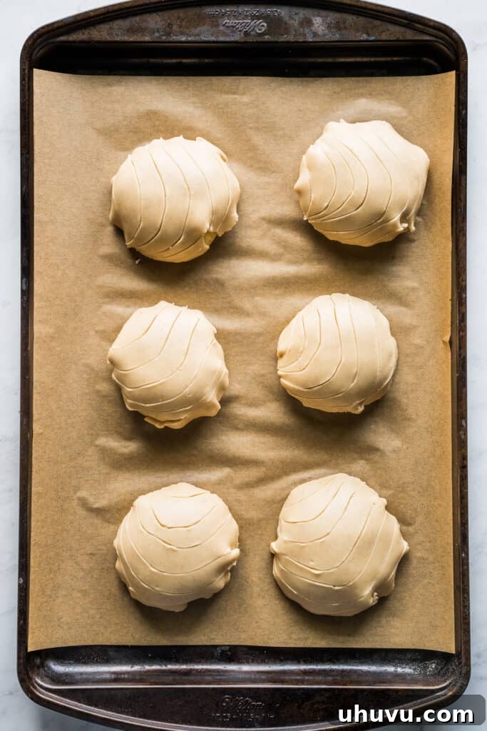 Concha Sunrise Sandwich 7 Shaped maple conchas with scored toppings arranged on a baking sheet, ready for the oven.
